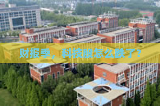 财报季，科技股怎么跌了？