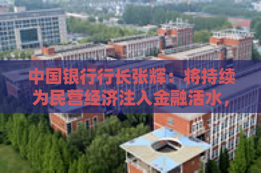 中国银行行长张辉：将持续为民营经济注入金融活水，为民营经济发展壮大保驾护航