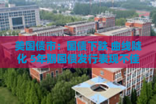 美国债市：国债下跌 曲线陡化 5年期国债发行表现不佳
