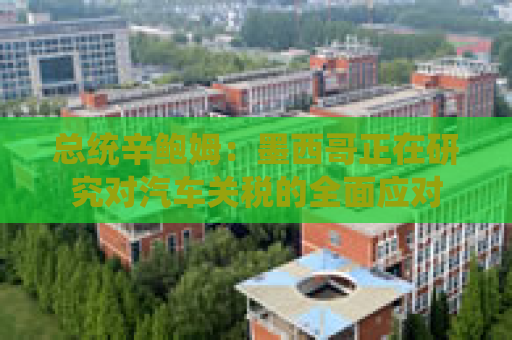 总统辛鲍姆：墨西哥正在研究对汽车关税的全面应对