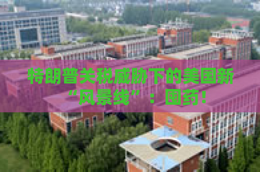 特朗普关税威胁下的美国新“风景线”：囤药！