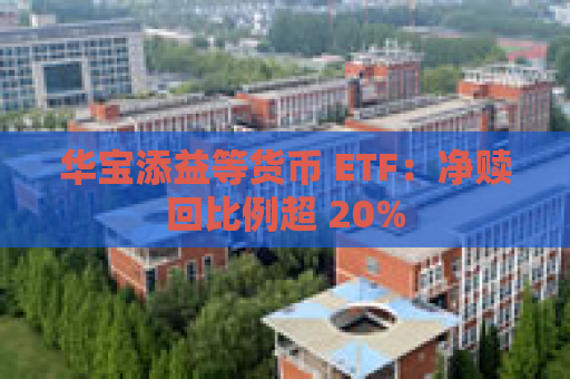 华宝添益等货币 ETF：净赎回比例超 20%