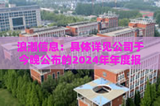 浪潮信息：具体详见公司于今晚公布的2024年年度报告  第1张