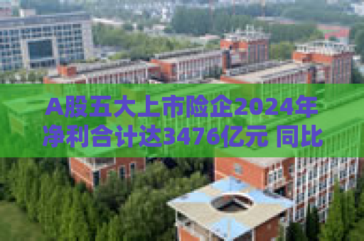 A股五大上市险企2024年净利合计达3476亿元 同比增长近八成