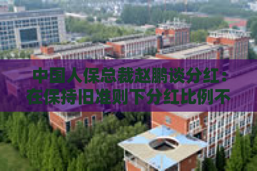 中国人保总裁赵鹏谈分红：在保持旧准则下分红比例不下降的基础上，实现每股分红的稳定增长