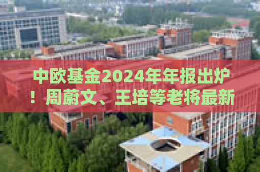 中欧基金2024年年报出炉！周蔚文、王培等老将最新观点操作一览