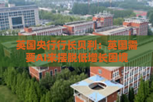 英国央行行长贝利：英国需要AI来摆脱低增长困境