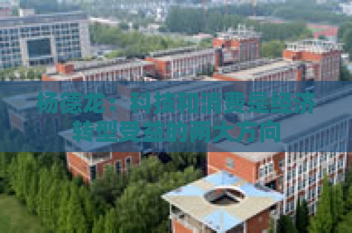 杨德龙：科技和消费是经济转型受益的两大方向