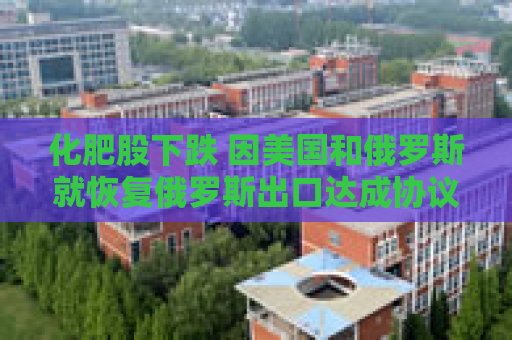 化肥股下跌 因美国和俄罗斯就恢复俄罗斯出口达成协议