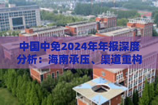 中国中免2024年年报深度分析：海南承压、渠道重构与国际化破局
