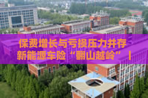 保费增长与亏损压力并存 新能源车险“翻山越岭”丨上市险企年报观察②  第1张