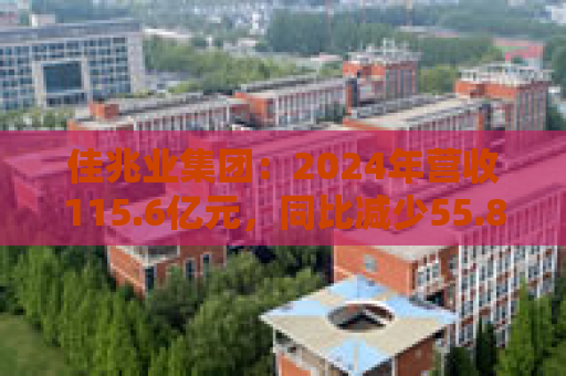 佳兆业集团：2024年营收115.6亿元，同比减少55.8%