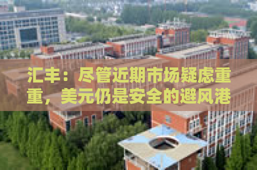 汇丰：尽管近期市场疑虑重重，美元仍是安全的避风港