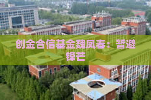 创金合信基金魏凤春：暂避锋芒  第1张