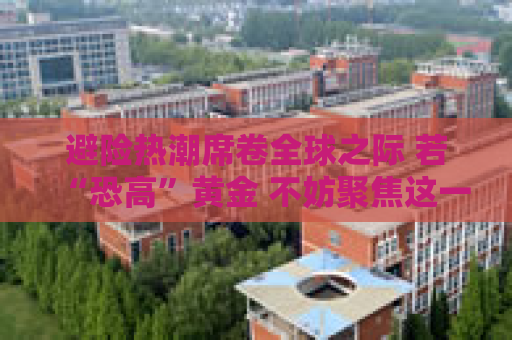 避险热潮席卷全球之际 若“恐高”黄金 不妨聚焦这一避险货币  第1张