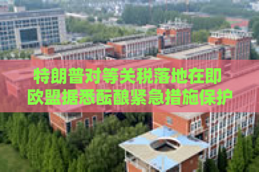 特朗普对等关税落地在即 欧盟据悉酝酿紧急措施保护经济
