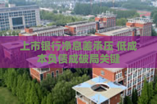 上市银行净息差承压 低成本负债成破局关键