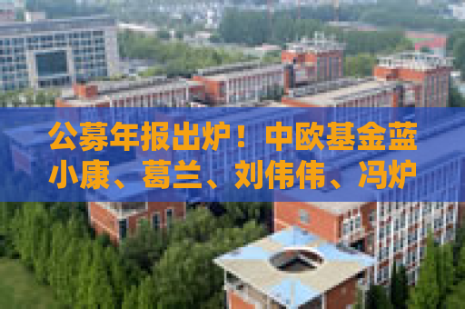 公募年报出炉！中欧基金蓝小康、葛兰、刘伟伟、冯炉丹最新观点一览