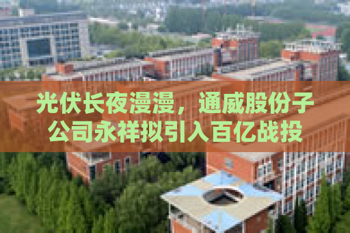 光伏长夜漫漫，通威股份子公司永祥拟引入百亿战投