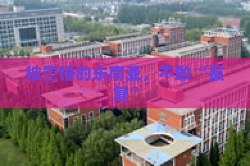 被重锤的东南亚，不敢“报复”