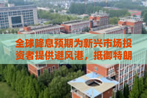全球降息预期为新兴市场投资者提供避风港，抵御特朗普引发的动荡  第1张