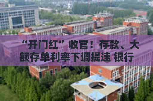 “开门红”收官！存款、大额存单利率下调提速 银行吸储“减负”进行时