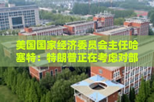美国国家经济委员会主任哈塞特：特朗普正在考虑对部分国家暂停90天的关税