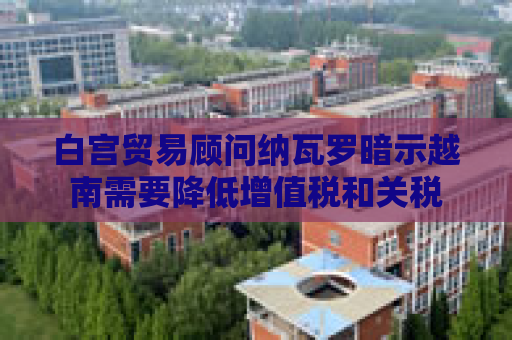 白宫贸易顾问纳瓦罗暗示越南需要降低增值税和关税