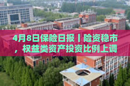 4月8日保险日报丨险资稳市，权益类资产投资比例上调！“报行合一”政策持续显效，“开门红”保费同比微降