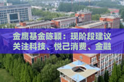 金鹰基金陈颖：现阶段建议关注科技、悦己消费、金融等方向