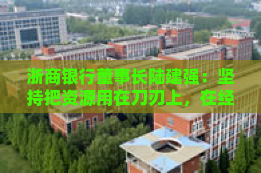 浙商银行董事长陆建强：坚持把资源用在刀刃上，在经营上即时做了三方面的调整