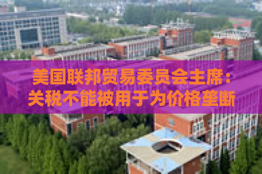 美国联邦贸易委员会主席：关税不能被用于为价格垄断开绿灯