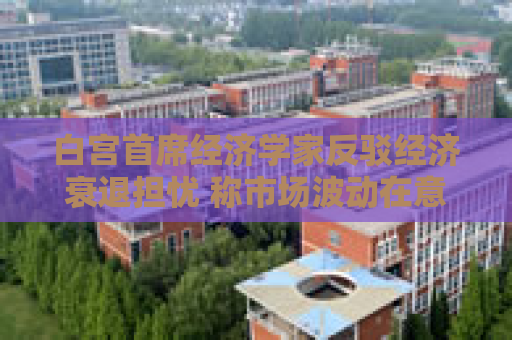 白宫首席经济学家反驳经济衰退担忧 称市场波动在意料之中