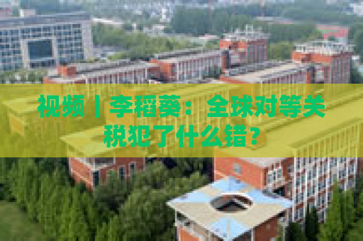 视频丨李稻葵：全球对等关税犯了什么错？