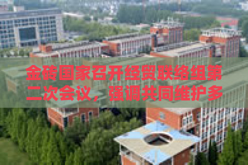 金砖国家召开经贸联络组第二次会议，强调共同维护多边贸易体制，反对单边主义和贸易保护主义