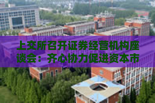 上交所召开证券经营机构座谈会：齐心协力促进资本市场健康稳定发展