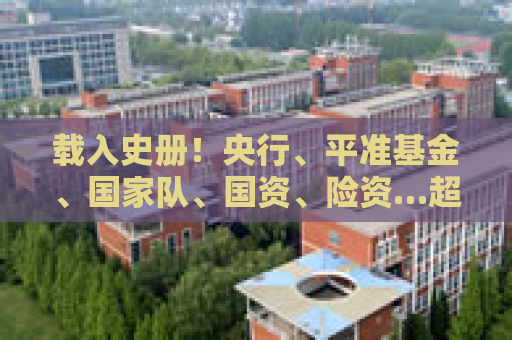 载入史册！央行、平准基金、国家队、国资、险资…超级组合拳来了