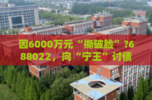 因6000万元“撕破脸”?688022，向“宁王”讨债