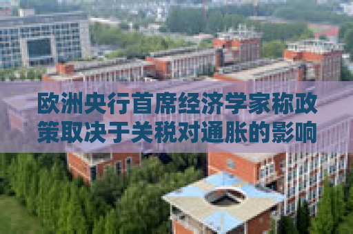 欧洲央行首席经济学家称政策取决于关税对通胀的影响