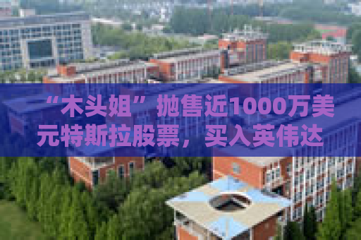 “木头姐”抛售近1000万美元特斯拉股票，买入英伟达和AMD