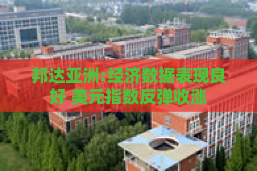 邦达亚洲:经济数据表现良好 美元指数反弹收涨