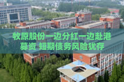 牧原股份一边分红一边赴港募资 短期债务风险犹存