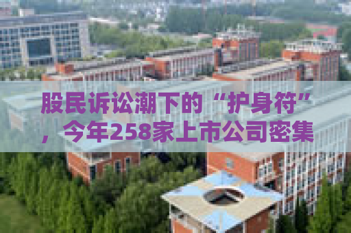 股民诉讼潮下的“护身符”，今年258家上市公司密集投保董责险