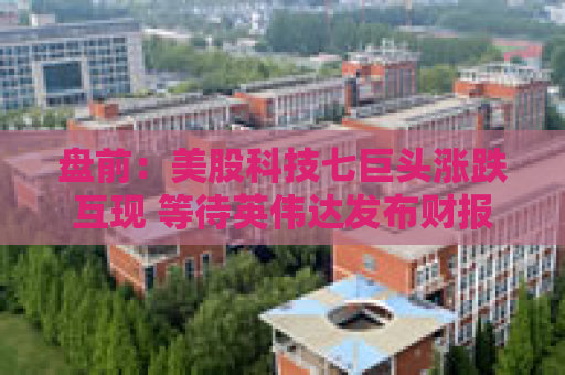 盘前：美股科技七巨头涨跌互现 等待英伟达发布财报