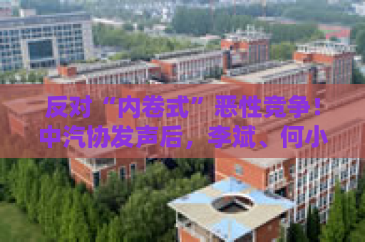 反对“内卷式”恶性竞争！中汽协发声后，李斌、何小鹏、閤先庆等车企大佬集体表态“价格战”