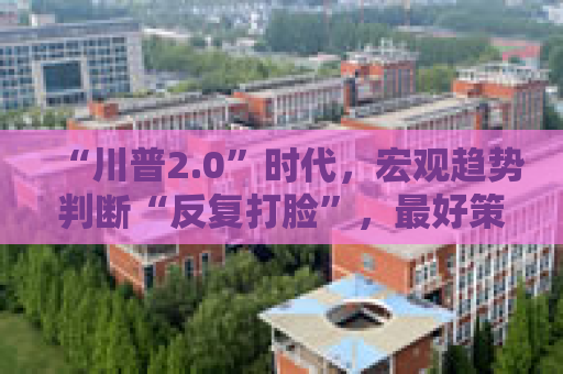 “川普2.0”时代，宏观趋势判断“反复打脸”，最好策略是“什么都不做”？
