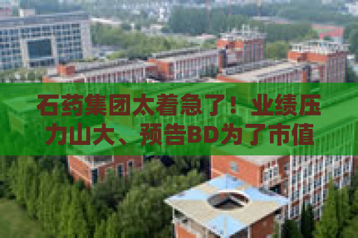 石药集团太着急了！业绩压力山大、预告BD为了市值管理？