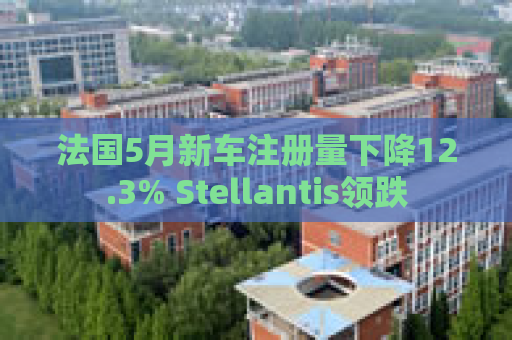 法国5月新车注册量下降12.3% Stellantis领跌