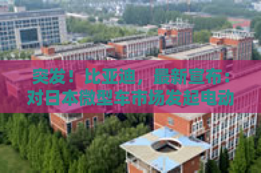 突发！比亚迪，最新宣布：对日本微型车市场发起电动车攻击