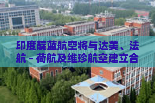 印度靛蓝航空将与达美、法航 - 荷航及维珍航空建立合作